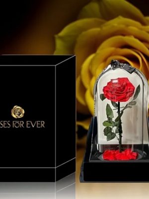 Forever Rose